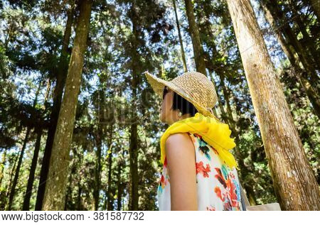 traveling Asian woman hiking in the forest at Xitou, Nantou, Taiwan