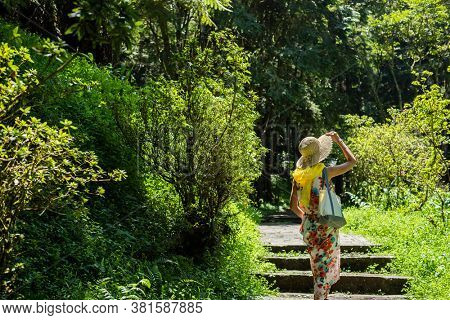 traveling Asian woman hiking in the forest at Xitou, Nantou, Taiwan