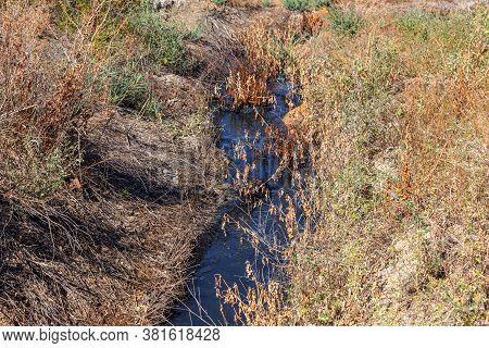 Spilled Streams Of Liquid Crude Oil Flow Down Drainage Ditch Into Public Body Of Water. Environmenta