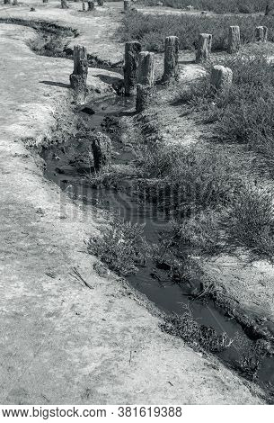 Spilled Streams Of Liquid Crude Oil Flow Down Drainage Ditch Into Public Body Of Water. Environmenta
