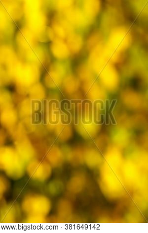 Beautiful Natural Foliage That Has Changed Color In The Autumn Season, A Close-up Of A Part Of The T