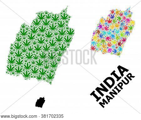 Vector Cannabis Mosaic And Solid Map Of Manipur State. Map Of Manipur State Vector Mosaic For Weed L