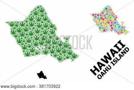 Vector Weed Mosaic And Solid Map Of Oahu Island. Map Of Oahu Island Vector Mosaic For Cannabis Legal