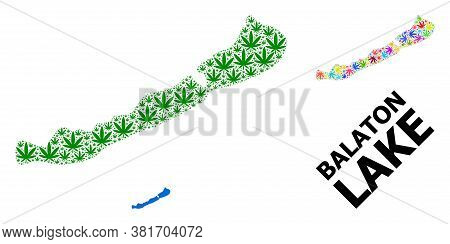Vector Cannabis Mosaic And Solid Map Of Balaton Lake. Map Of Balaton Lake Vector Mosaic For Cannabis