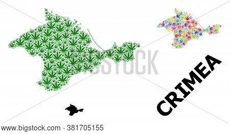 Vector Cannabis Mosaic And Solid Map Of Crimea. Map Of Crimea Vector Mosaic For Hemp Legalize Campai