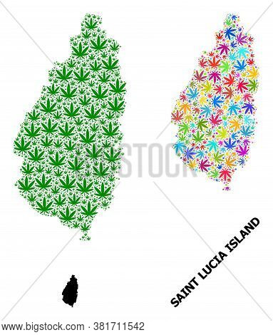 Vector Hemp Mosaic And Solid Map Of Saint Lucia Island. Map Of Saint Lucia Island Vector Mosaic For 