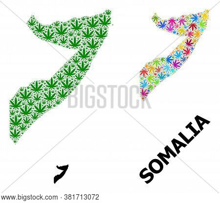 Vector Weed Mosaic And Solid Map Of Somalia. Map Of Somalia Vector Mosaic For Weed Legalize Campaign