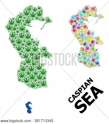 Vector Cannabis Mosaic And Solid Map Of Caspian Sea. Map Of Caspian Sea Vector Mosaic For Marijuana 