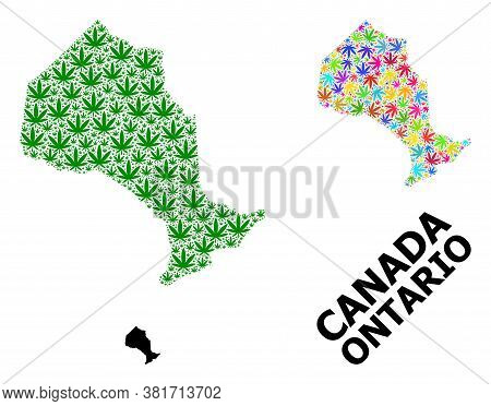 Vector Cannabis Mosaic And Solid Map Of Ontario Province. Map Of Ontario Province Vector Mosaic For 