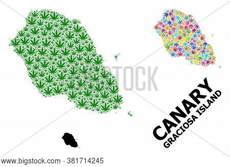 Vector Hemp Mosaic And Solid Map Of Graciosa Island. Map Of Graciosa Island Vector Mosaic For Hemp L