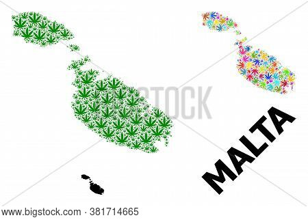 Vector Weed Mosaic And Solid Map Of Malta. Map Of Malta Vector Mosaic For Weed Legalize Campaign. Ma