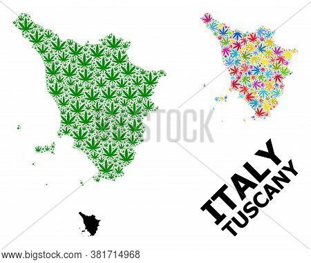 Vector Cannabis Mosaic And Solid Map Of Tuscany Region. Map Of Tuscany Region Vector Mosaic For Cann
