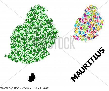Vector Marijuana Mosaic And Solid Map Of Mauritius Island. Map Of Mauritius Island Vector Mosaic For