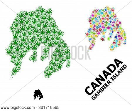 Vector Weed Mosaic And Solid Map Of Gambier Island. Map Of Gambier Island Vector Mosaic For Weed Leg
