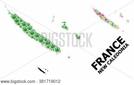 Vector Marijuana Mosaic And Solid Map Of New Caledonia. Map Of New Caledonia Vector Mosaic For Drug 