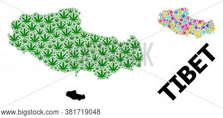 Vector Cannabis Mosaic And Solid Map Of Tibet. Map Of Tibet Vector Mosaic For Drug Legalize Campaign