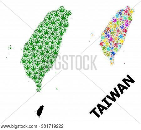 Vector Cannabis Mosaic And Solid Map Of Taiwan. Map Of Taiwan Vector Mosaic For Drug Legalize Campai