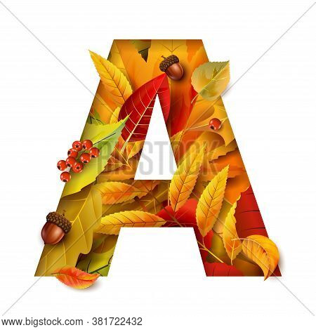 Autumn Blurred Background With Falling Leaves. For Your Design.