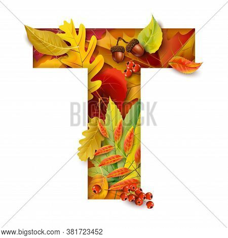 Autumn Blurred Background With Falling Leaves. For Your Design.