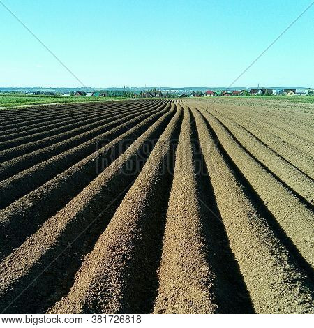 Ploughed Field. Fresh Furrows Of Brown Earth Stretch Along. In The Distance, You Can See The Silhoue