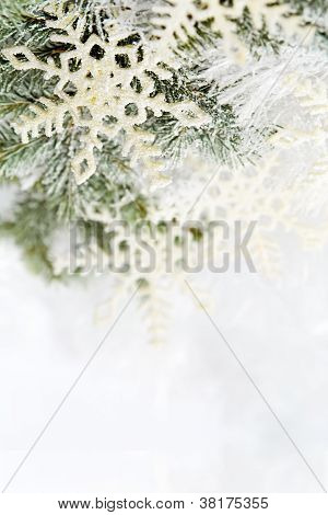 schneebedeckte Zweige der Fichte