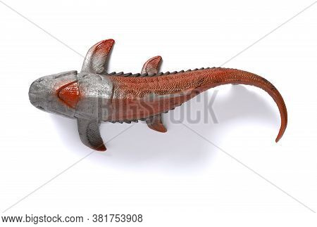 Top View Dunkleosteus Terrelli Model On White