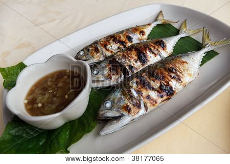 Scomber Fisch vom Grill