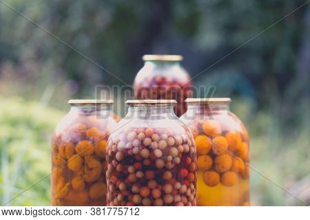 Jars With Compote On Table. Sealed Glass Jars With Kompot Placed On Table Near Flowers And Fruits On
