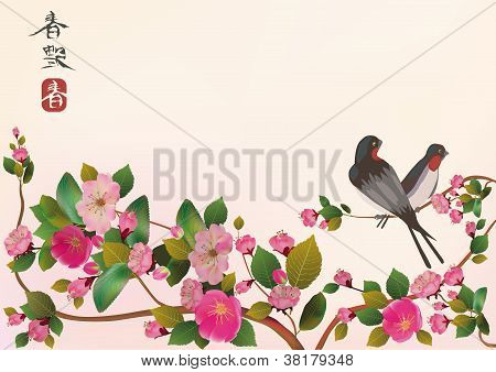 Uccello di Sakura. cartolina