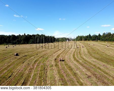 Panoramic View From Drone To Rural Summer Cut Field With Many Rolled Haystacks And The Forest On Sky