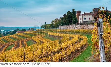 The Sun Goes Down In The Vineyards Of Friuli Venezia-giulia
