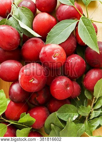 Alucha Cherry Plum Berries On Wooden Background. Shallow Dof.