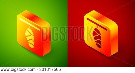 Isometric Butterfly Cocoon Icon Isolated On Green And Red Background. Pupa Of The Butterfly. Square 