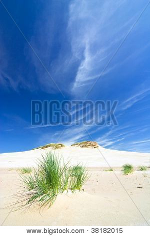 Klitterne i en Slowinski National Park, Polen