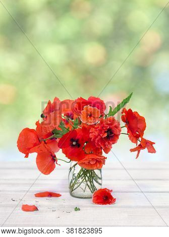 Bouquet Of Red Poppies ( Corn Poppy, Corn Rose, Field Poppy, Red Weed, Coquelicot ) In Small Vase On