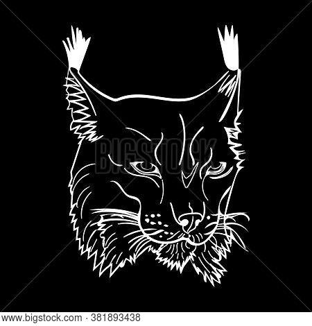 Sketch Style Portrait Of Lynx Isolated On Black Background. Wild Bobcat Black And White Sketch Icon.