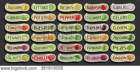 Vector Set Of Fresh Vegetables, Group Of Cut Out Cartoon Vegs, Various Minimal Design Vegetable Stic