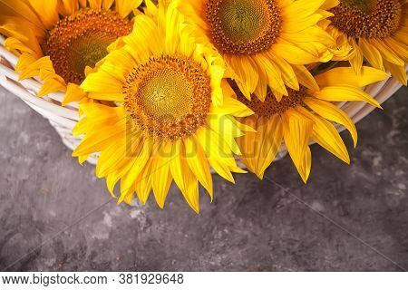 Bouquet Of Sunflowers In A Backet. Copy Space.