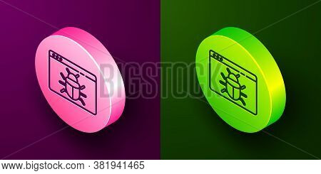 Isometric Line System Bug Concept Icon Isolated On Purple And Green Background. Code Bug Concept. Bu