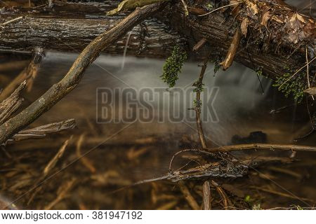 Creek Near Kouty Nad Desnou Village In Summer Day
