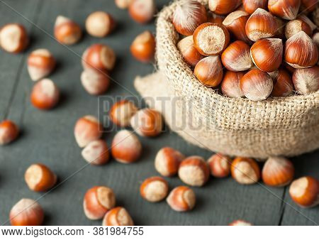 Hazelnuts, Filbert In Burlap Sack On Rustic Wooden Table. Heap Or Stack Of Hazel Nuts. Hazelnut Back