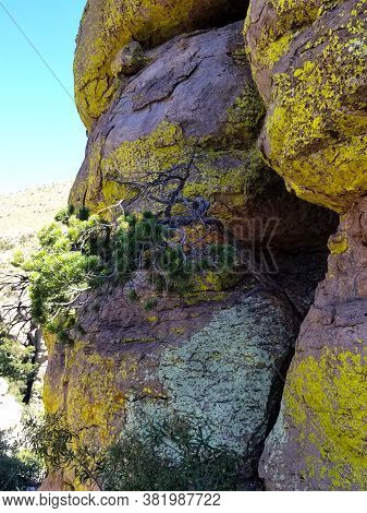 Chiracahua National Monument Hoodoos With Multicolored Lichens