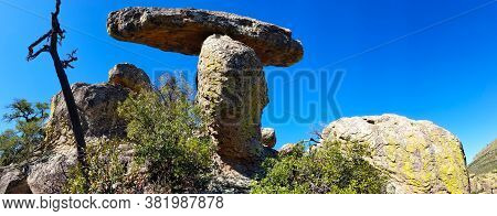 Chiracahua National Monument Mushroom Hoodoo With Green Lichens
