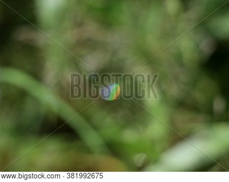 Vibgyor  Formed In The Water Droplet On Grass By Camera Blurring