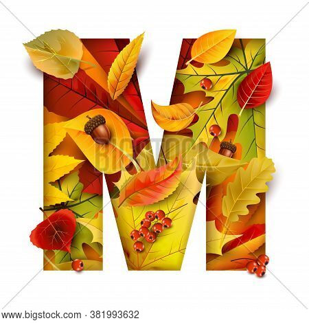 Autumn Stylized Alphabet. Letter M.. For Your Design.