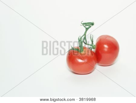 흰색 바탕에 두 토마토