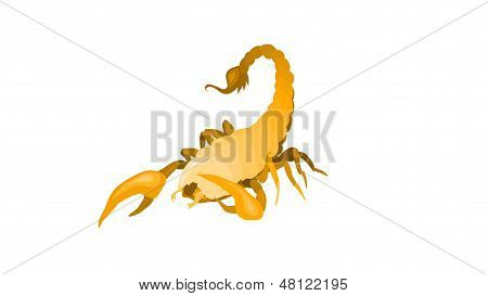 Skorpioni