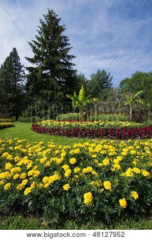 Horticulture