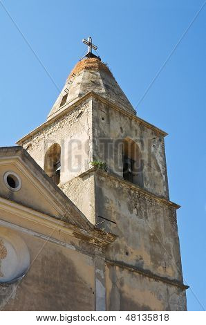 母教会。・ アルベローナ。プーリア。イタリア。