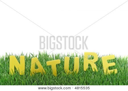 Natura